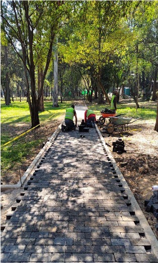 Andadores y áreas verdes – Bosque de Chapultepec